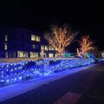 イルミネーション