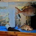 ご近所ランチNo.5